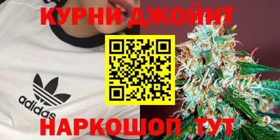 стаф Дмитров