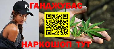 стаф Дмитров