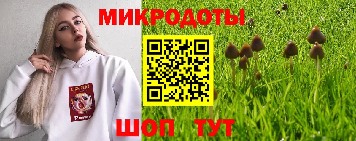 Галлюциногенные грибы Psilocybine cubensis Набережные Челны
